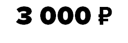 3 000 ₽