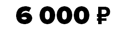 6 000 ₽