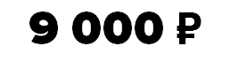 9 000 ₽